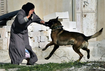 Israeili attack dog used against a civilian