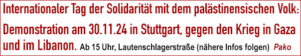 Internationaler Tag der Solidarität mit dem palästinensischen Volk, Demo in Stuttgart am 11. November 2024