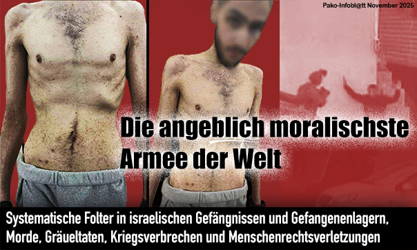 Pako Infoblatt November 2025