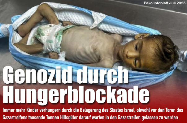 Pako Infoblatt Juli 2025